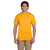 Fruit of the Loom Men's Gold 5 oz. HD Cotton T-Shirt