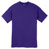 Sport-Tek Youth Purple Dry Zone Raglan T-Shirt