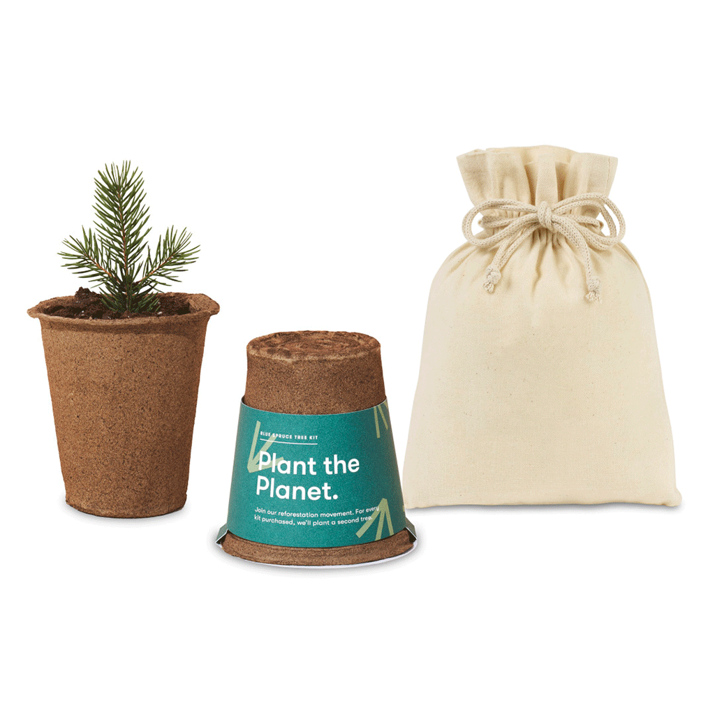 Modern Sprout Dark Teal One for One Tree Kits