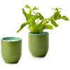 Modern Sprout In The Weeds/Mint Garden Vibes Candle/Planter