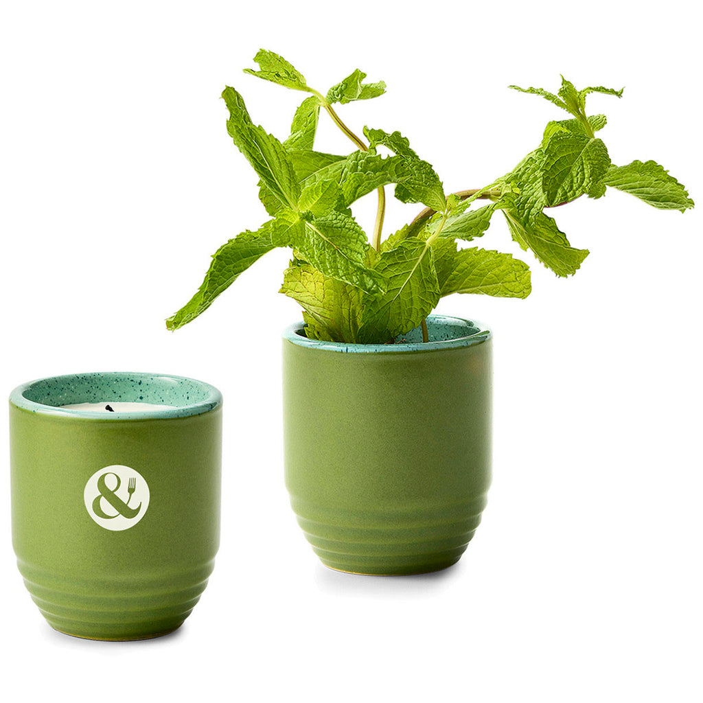 Modern Sprout In The Weeds/Mint Garden Vibes Candle/Planter