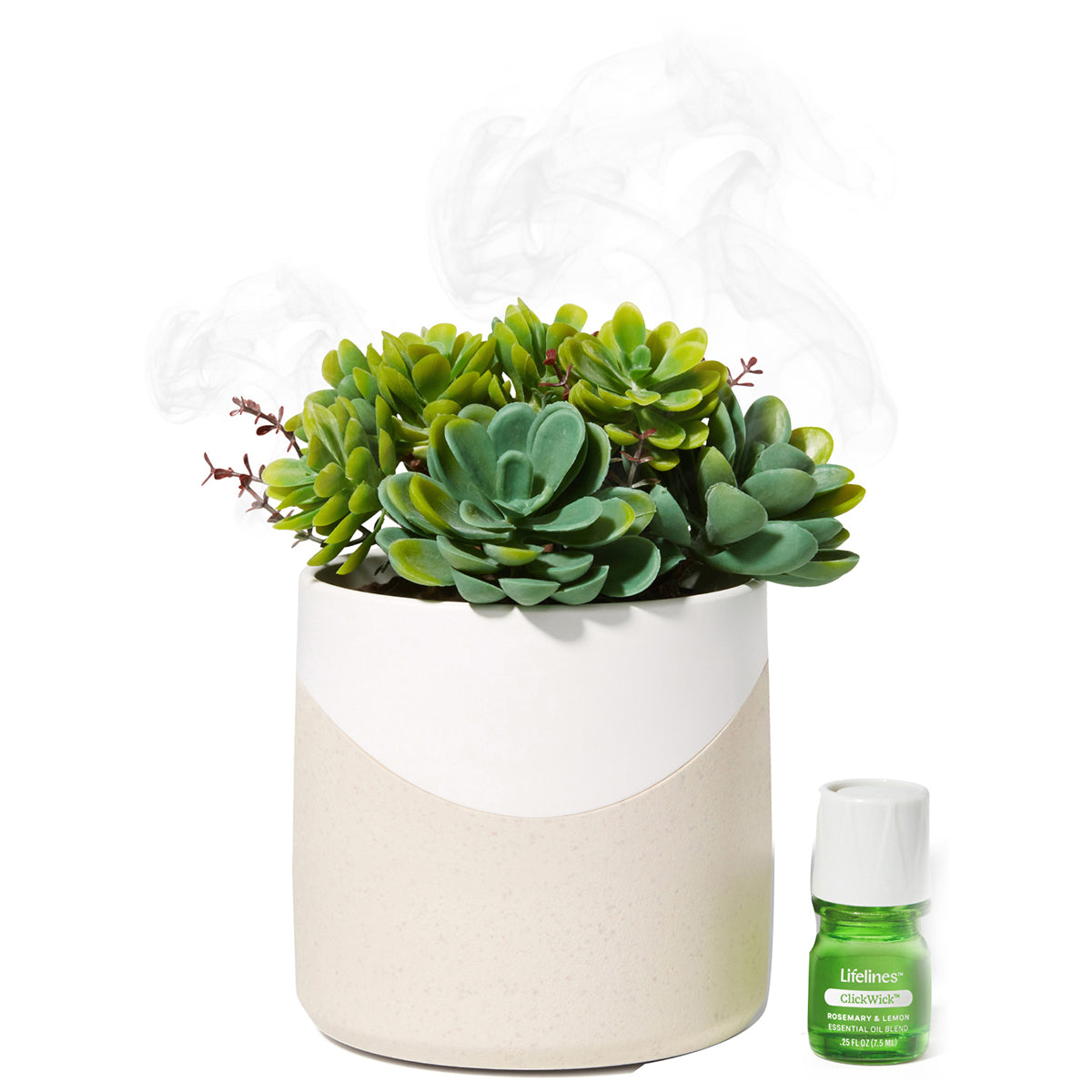 Life Essence 2本 Lifelines Two Toned Succulent Plant Diffuser