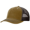 Color Brown