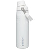 Stanley Polar IceFlow Bottle with Fast Flow Lid 24oz.