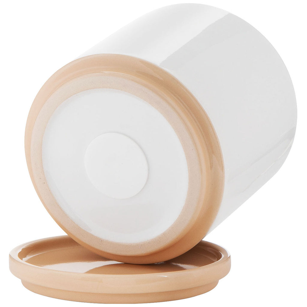 ETS Express Vanilla Blume 22oz Ceramic Planter