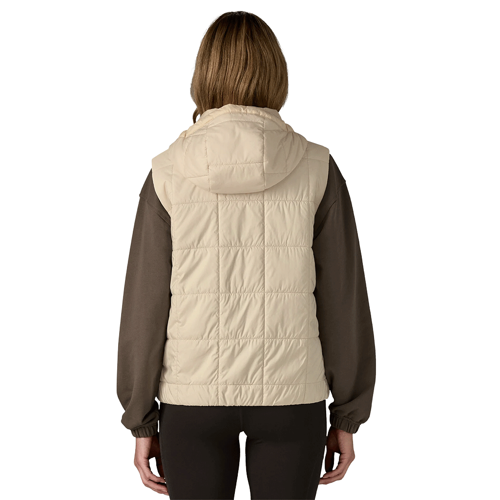 Patagonia Women's Natural Light Gust Hooded Vest