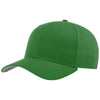 Color Kelly Green