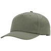 Color Loden