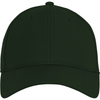 Ahead University Hunter Green Frio Cap