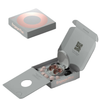 Loop Rose Engage 2 Plus Earplugs