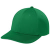Color Kelly Green