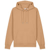 Color Camel