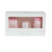 Venus Et Fleur Blush Suede The Classic Bundle
