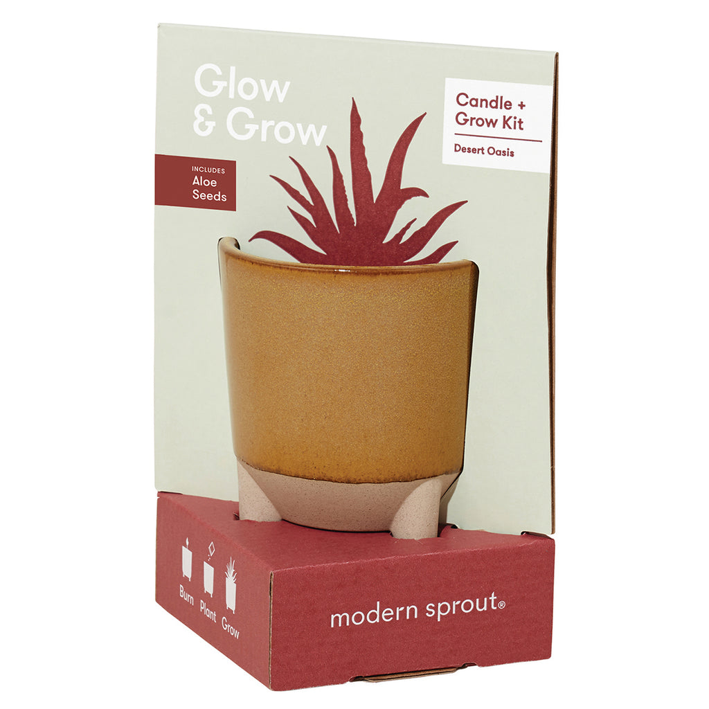 Modern Sprout Amber Desert Oasis with Aloe Seeds Glow & Grow Live Well Gift Set
