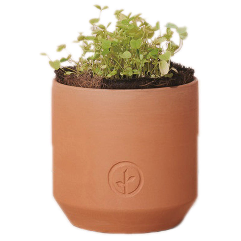 Modern Sprout Terracotta Tiny Terracotta Grow Kit Grow Kit Good Luck Clover