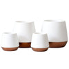 Fellow Matte White Joey Double Wall Ceramic Mugs 8oz set of 2