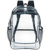 BIC Black Clear Backpack