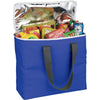 Arctic Zone Royal Blue 30 Can Foldable Freezer Tote