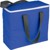 Arctic Zone Royal Blue 30 Can Foldable Freezer Tote