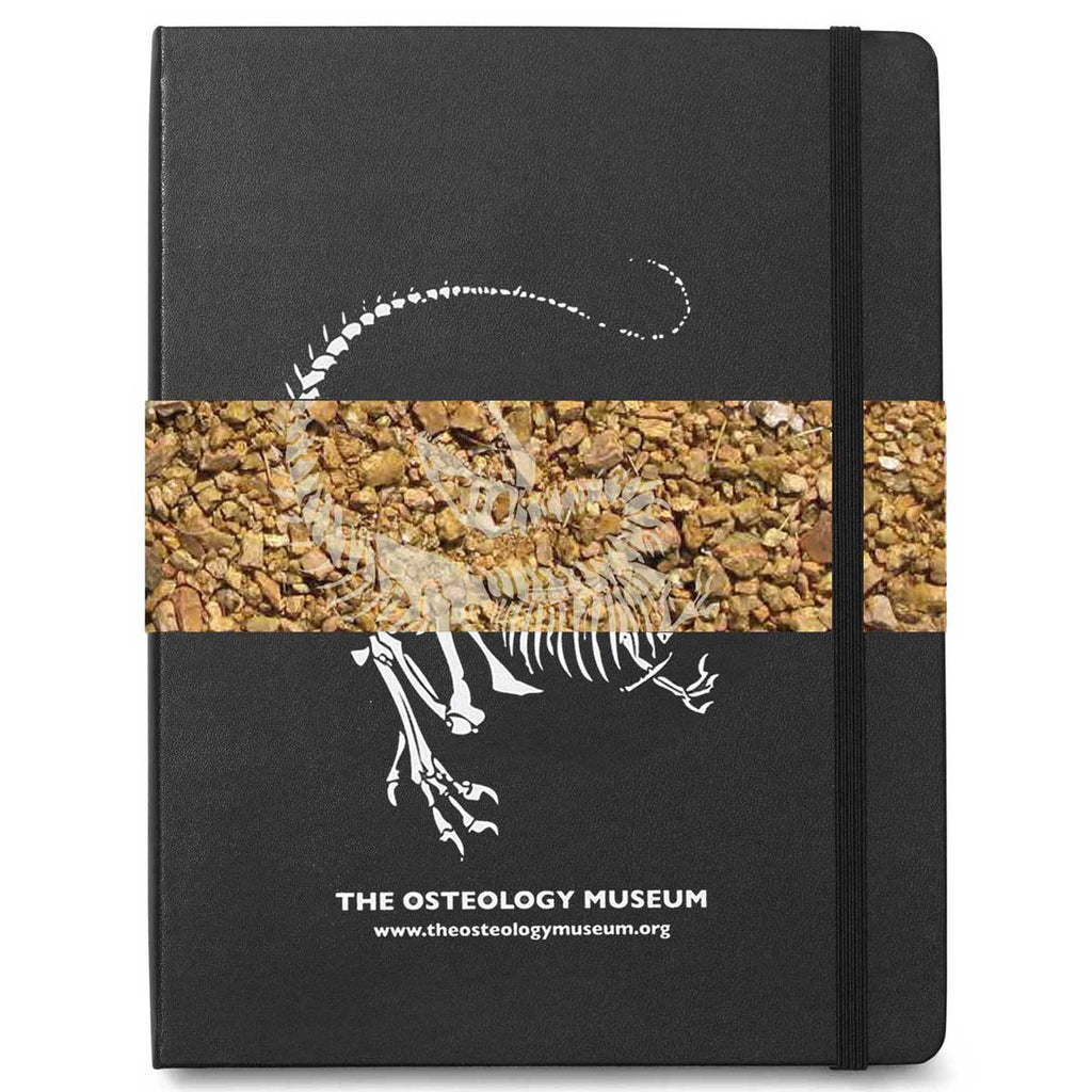 Moleskine Black Hard Cover Professional Ruled XL Notebook (7.5