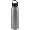 Good Value Silver Terrain Metalike Bottle - 24 oz.