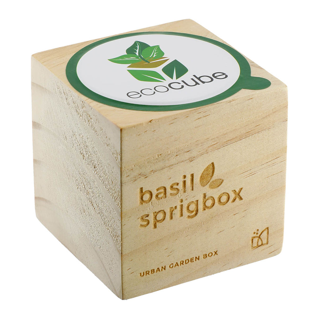 Sprigbox Wood Basil Grow Kit