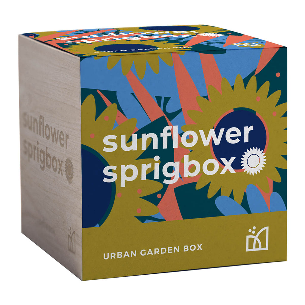 Sprigbox Wood Sunflower Grow Kit