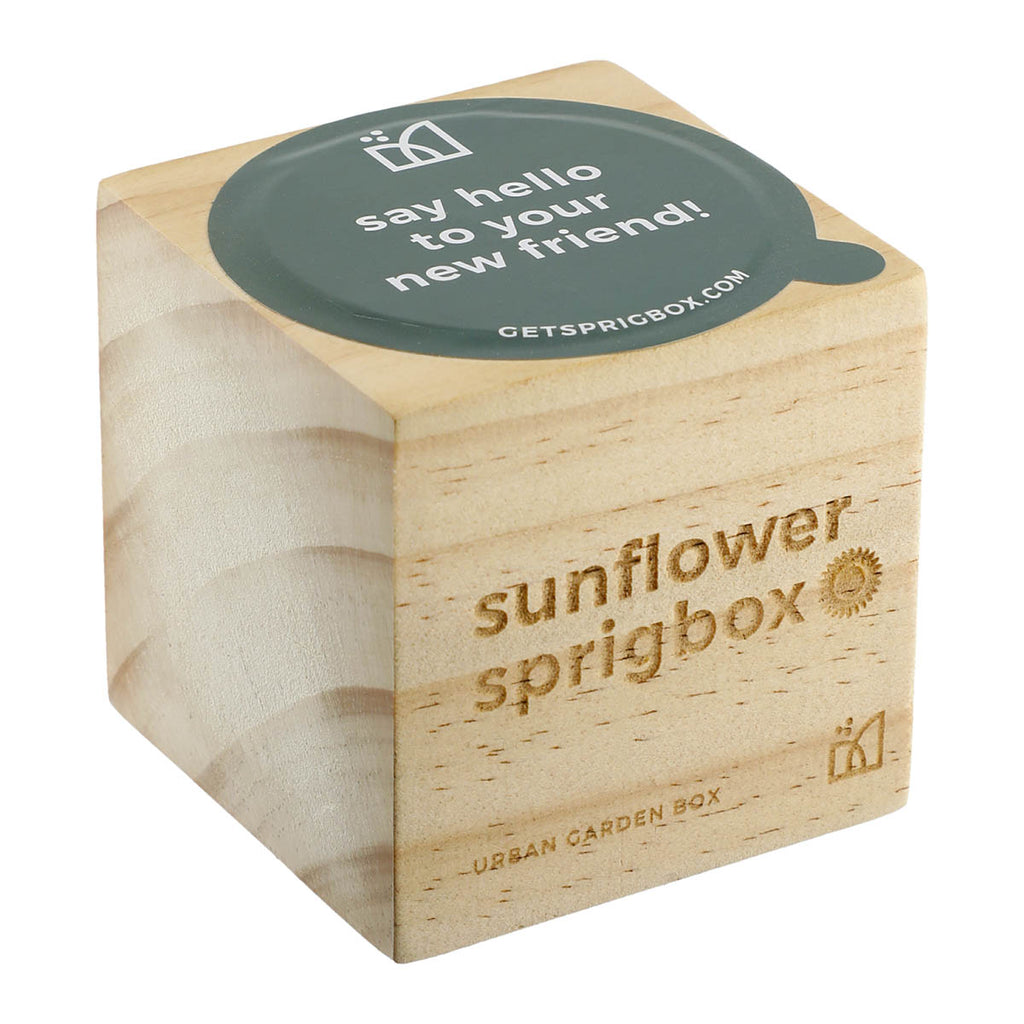 Sprigbox Wood Sunflower Grow Kit