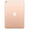 Apple Gold iPad with Wi-Fi - 32 GB