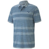 Color Blue Spruce