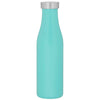 H2Go Matte Mint 16.9 oz Carina Stainless Steel Bottle