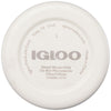 Igloo Sand 20 oz. Vacuum Insulated Flask