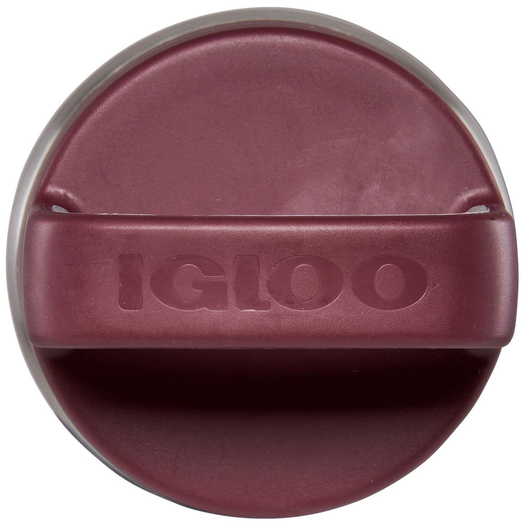 Igloo Burgundy 24 oz. Vacuum Insulated Bottle