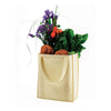 Econscious Natural Non-Woven Grocery Tote