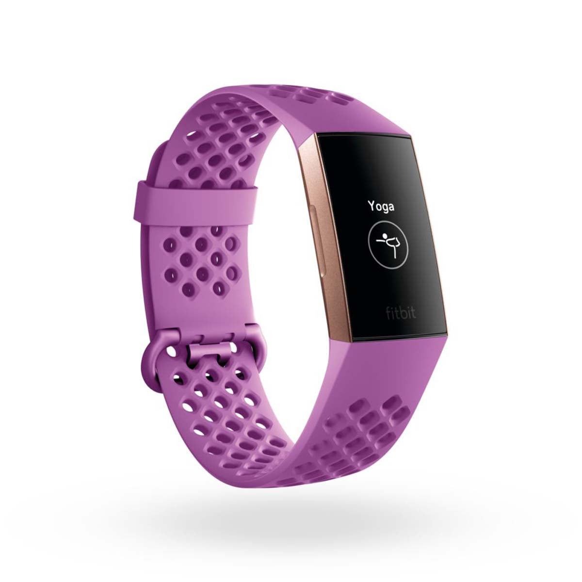 Lavender Fitbit Charge Rose Lavender Fitbit Charge Fitbit Rose