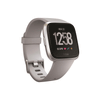 Fitbit Grey/Silver Versa Smartwatch
