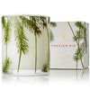 Thymes White Frasier Fir Pine Needle Votive Candle
