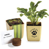 Primeline Tan Flower Pot Set with Chive Seeds