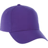 Elevate Purple Dominate Ballcap
