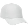 Elevate White Dominate Ballcap